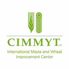 Logo for CIMMYT